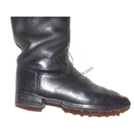 Bottes troupes Heer
