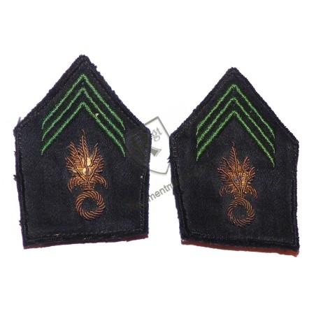 Paire de pattes de collet Légion Etrangère Indochine