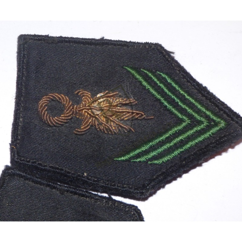 Paire de pattes de collet Légion Etrangère Indochine