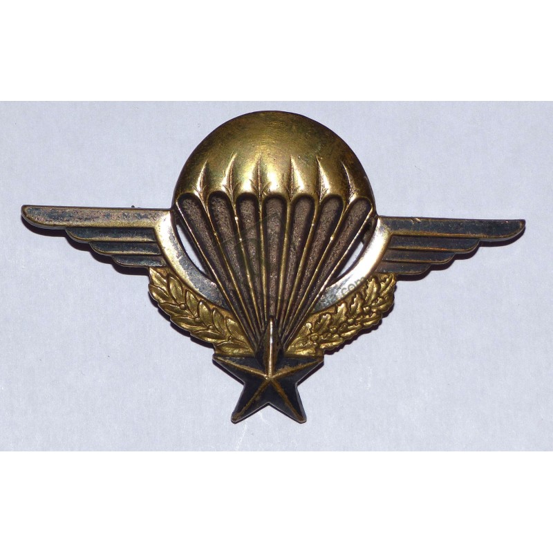 Brevet Parachutiste par DRAGO ROMAINVILLE matriculé