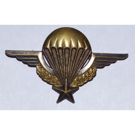 Brevet Parachutiste par DRAGO ROMAINVILLE matriculé