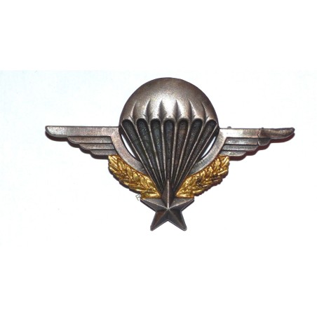 Brevet Parachutiste par DRAGO ROMAINVILLE matriculé