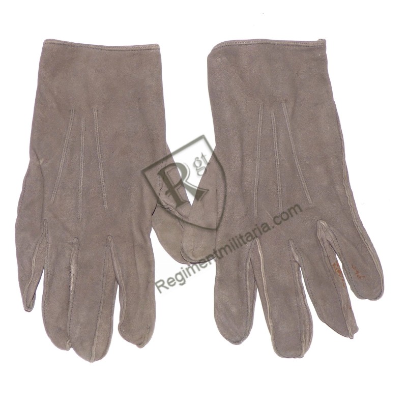 Heer officer's gloves