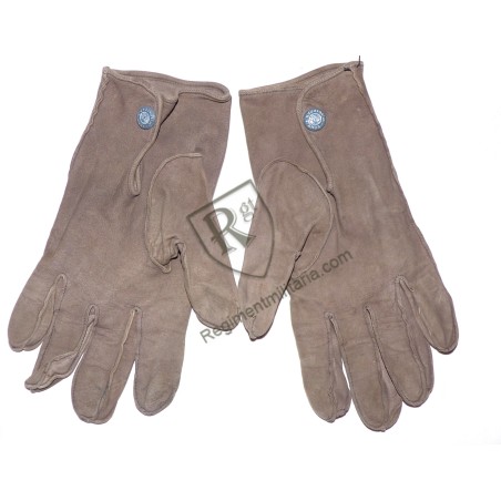 Heer officer's gloves