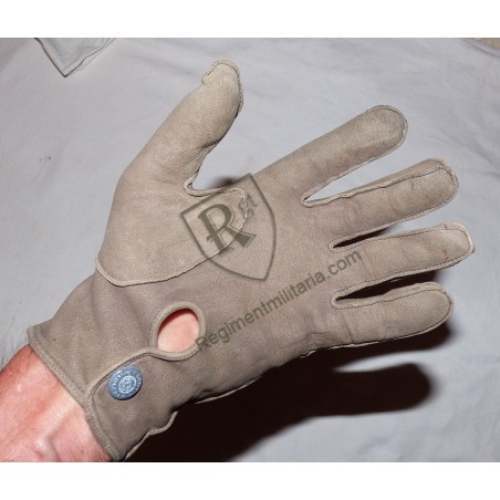 Heer officer's gloves
