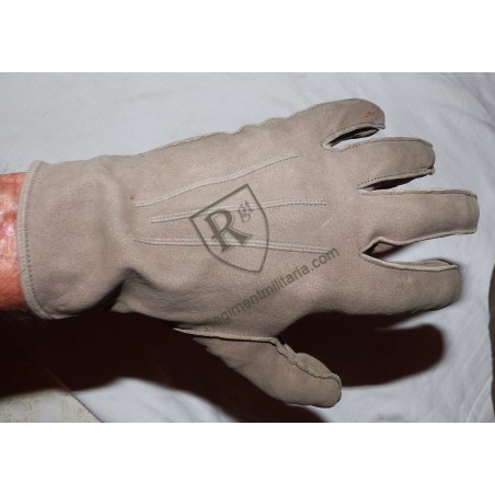Heer officer's gloves
