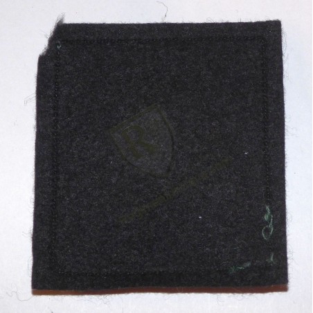 25th DP Algerian war fabric badge