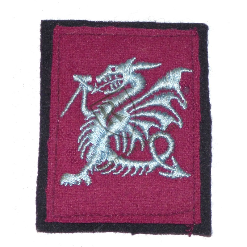 Para embroidered badge Para embroidered badge