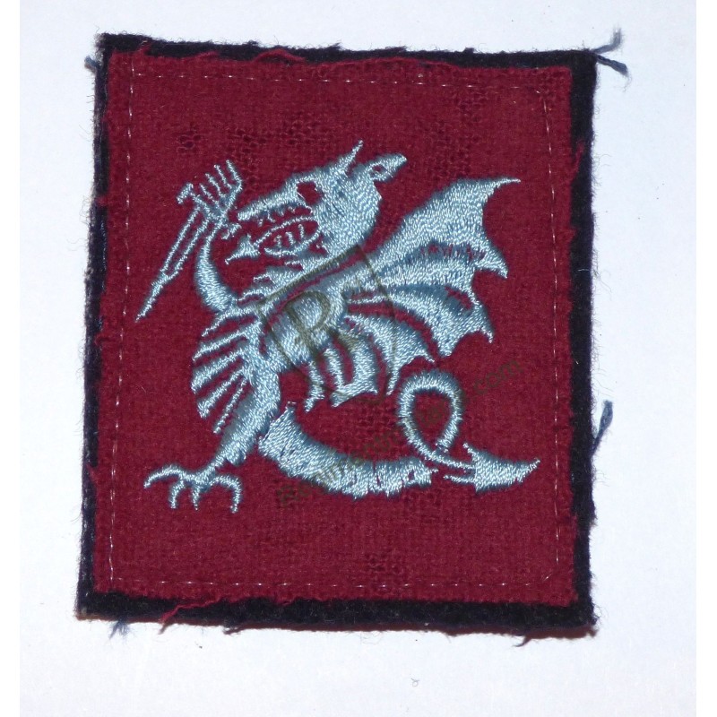 Para embroidered badge Para embroidered badge