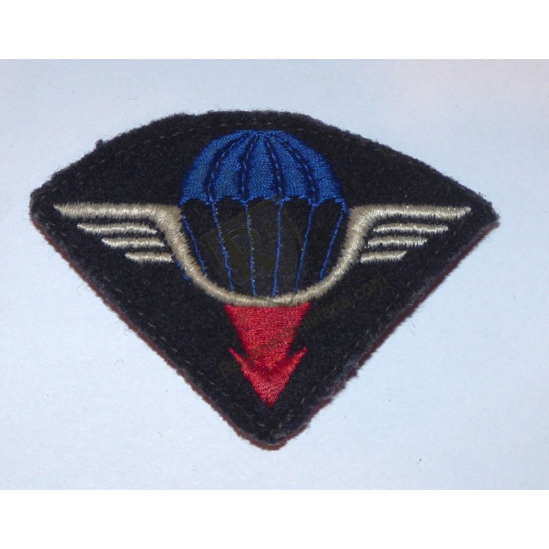 25th Airborne Division Badge