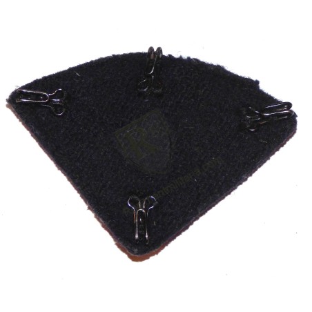 25th Airborne Division Badge