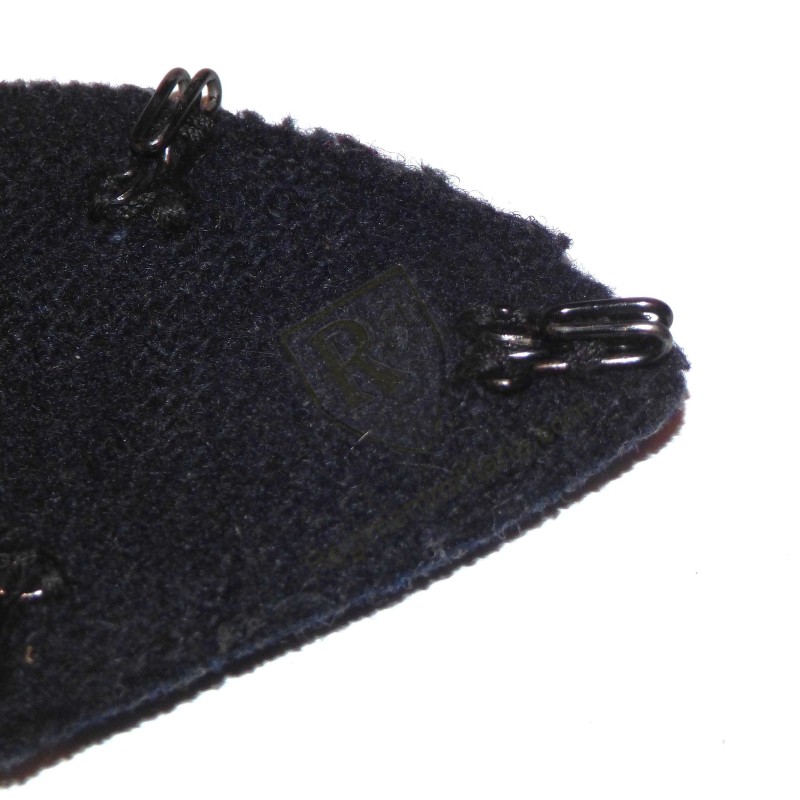 25th Airborne Division Badge