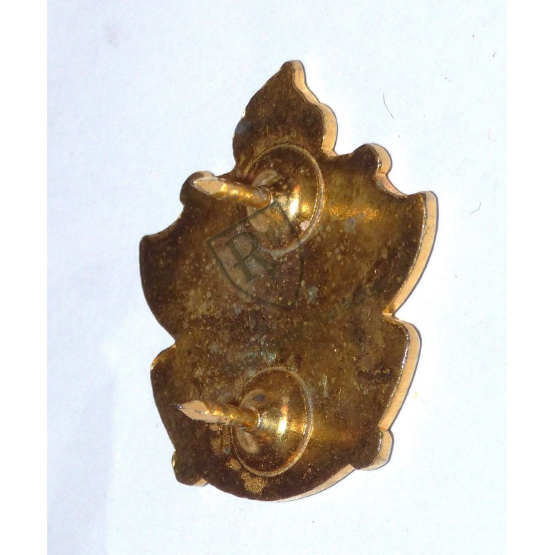 Berlin Brigade Crest US ARMY