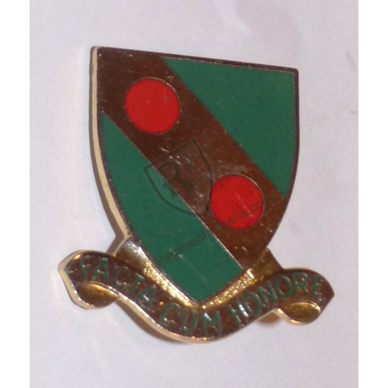 793rd Military Police Batallion Crest US ARMY