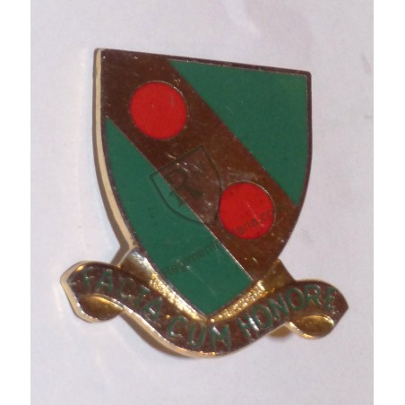 793rd Military Police Batallion Crest US ARMY