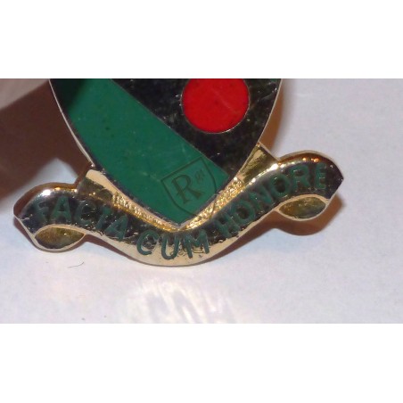 793rd Military Police Batallion Crest US ARMY