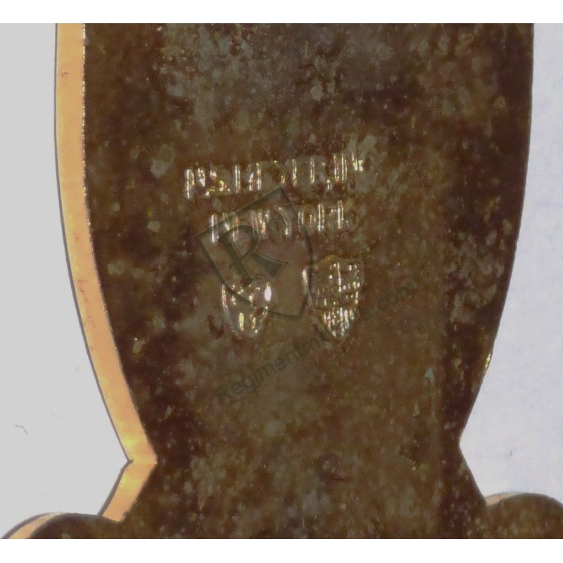 793rd Military Police Batallion Crest US ARMY