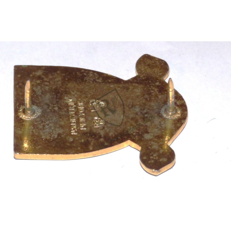 793rd Military Police Batallion Crest US ARMY