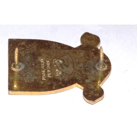 793rd Military Police Batallion Crest US ARMY