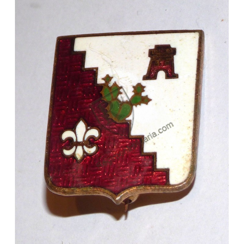 109th Engineer Btn Crest US ARMY