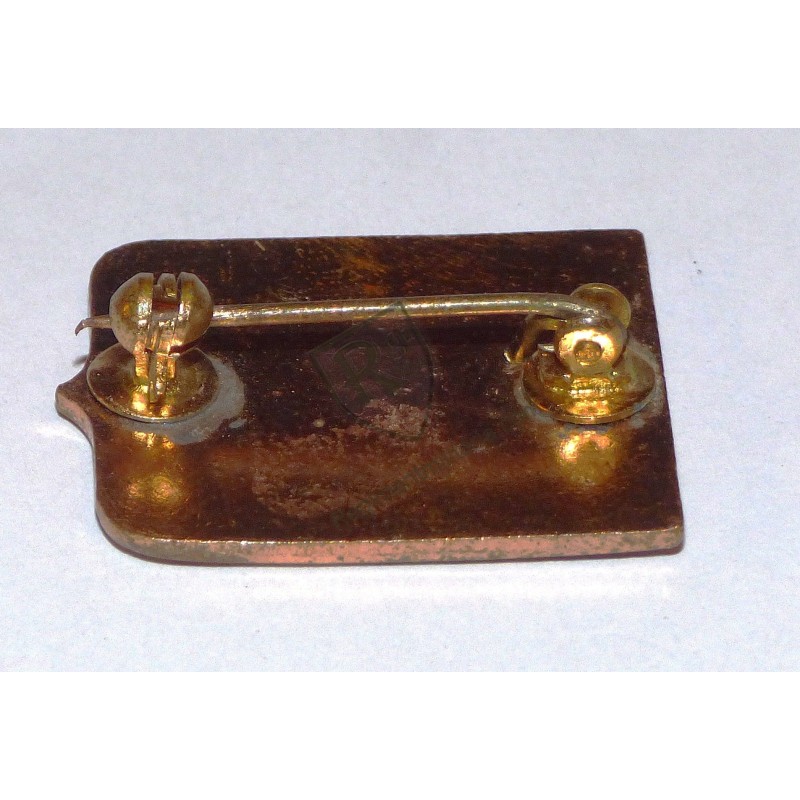 109th Engineer Btn Crest US ARMY