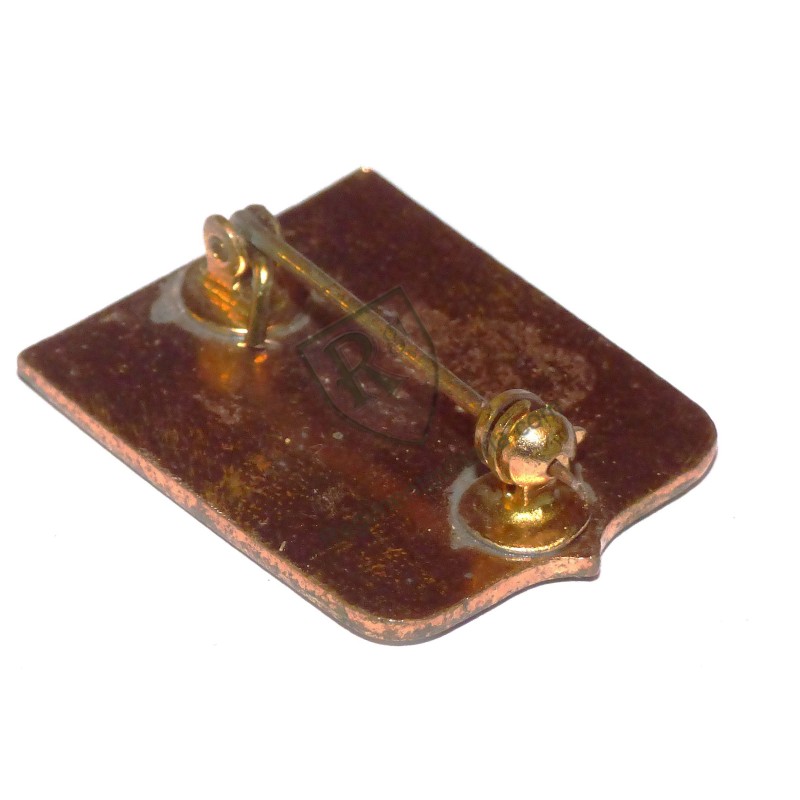 109th Engineer Btn Crest US ARMY