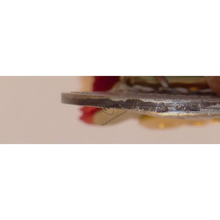 Médaille Le Burnous - Spahis