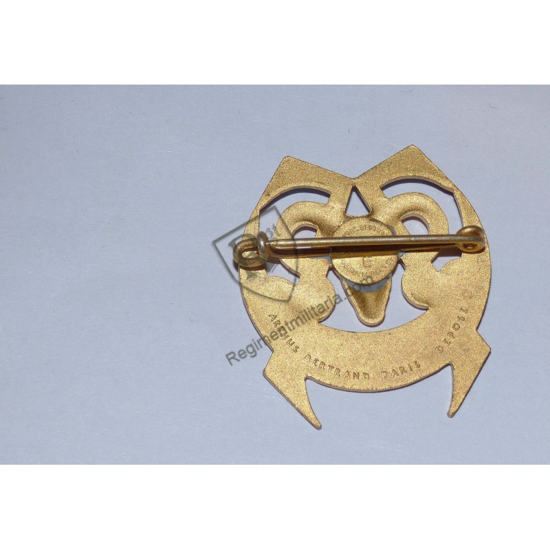 Insigne du 7ème RTA