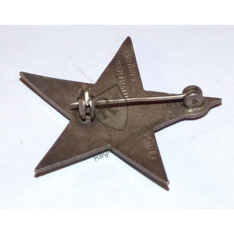 Badge 5th Moroccan Spahis