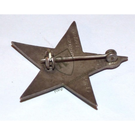 Badge 5th Moroccan Spahis