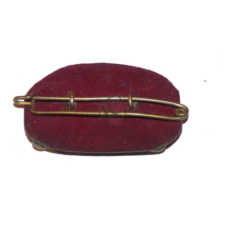 Badge of the 2nd Algerian Spahis