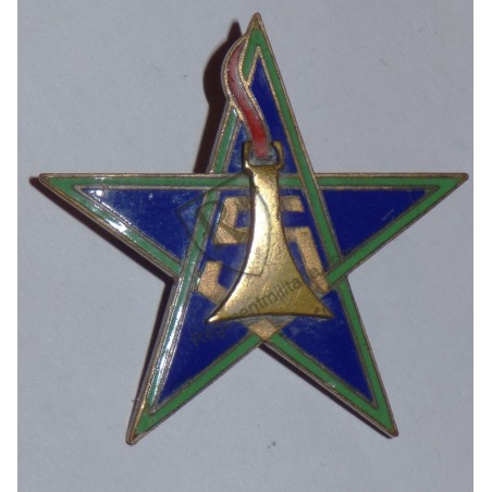 Badge 5th Moroccan Spahis