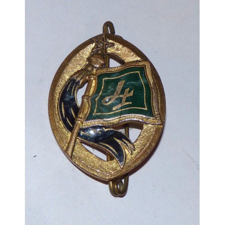 Badge of the 4th Moroccan Spahi Regiment