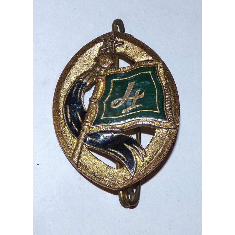 Badge of the 4th Moroccan Spahi Regiment