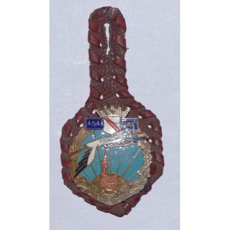 Insigne 454ème COMA