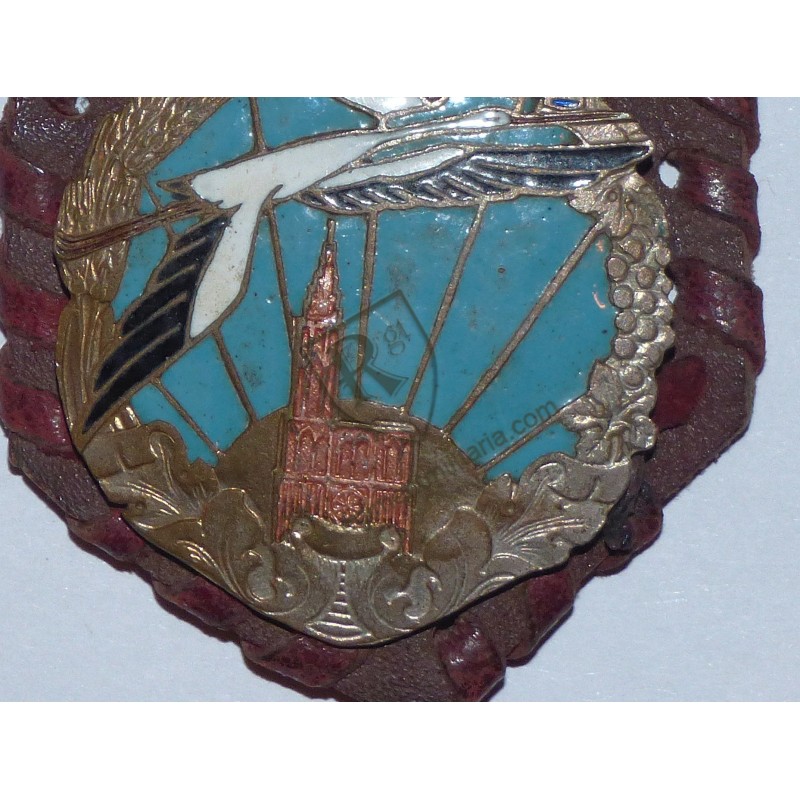 Insigne 454ème COMA