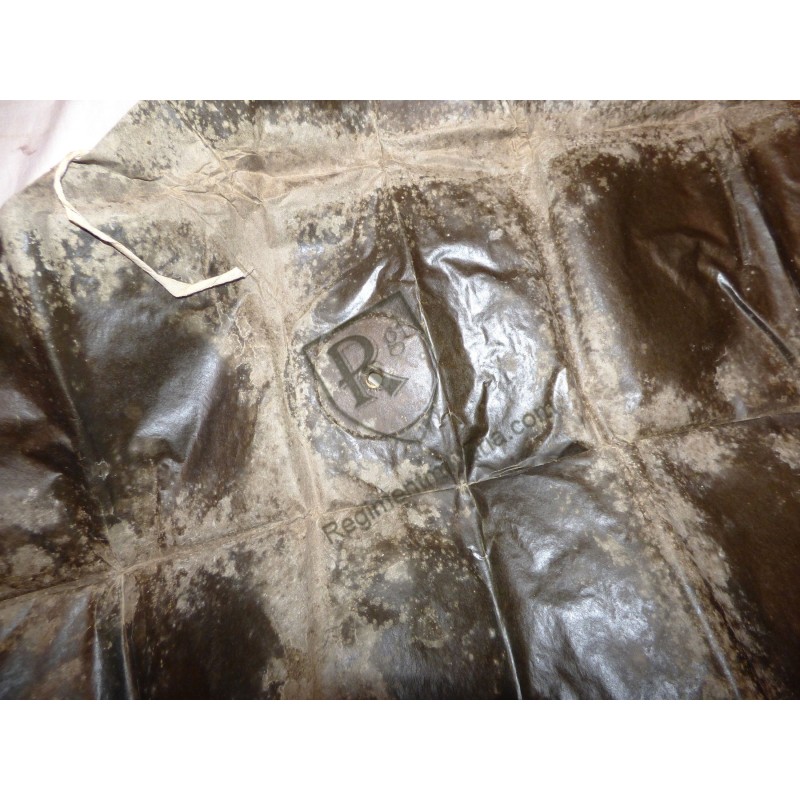 Rare gaz protection pilgrim.