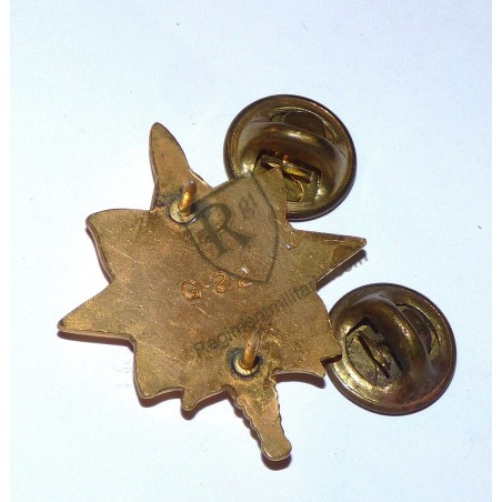 US ARMY Military Intelligence branch badges