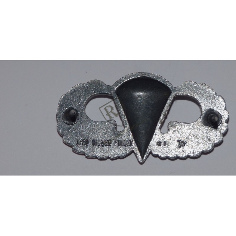 US ARMY Para badge Viet Nam