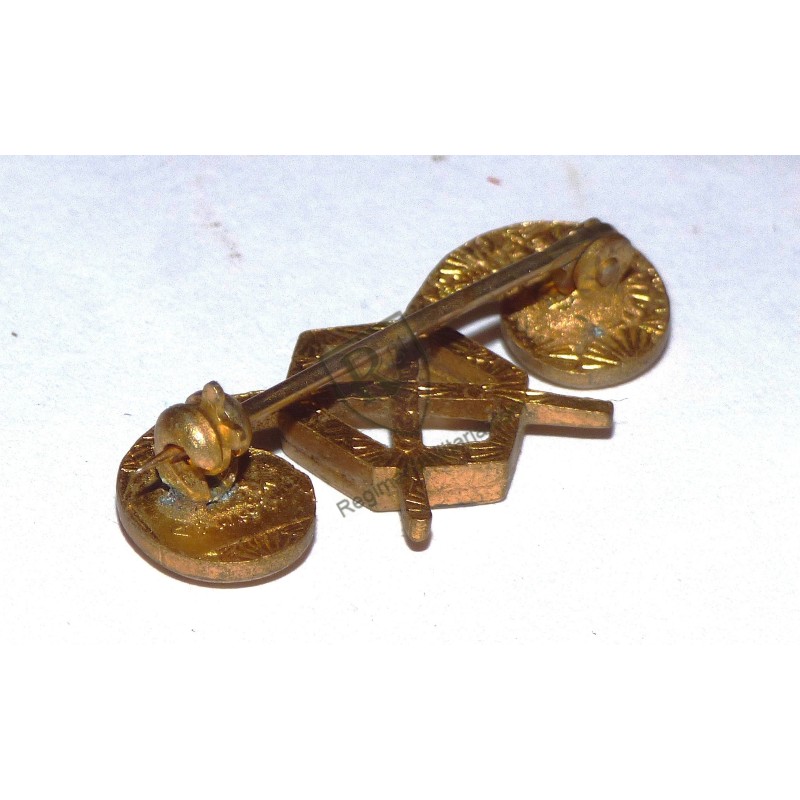 US ARMY CHEMICAL Corps collar badge