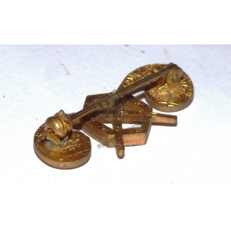 US ARMY CHEMICAL Corps collar badge