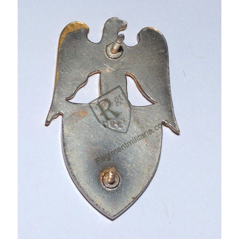 US ARMY Aide to Major General badge