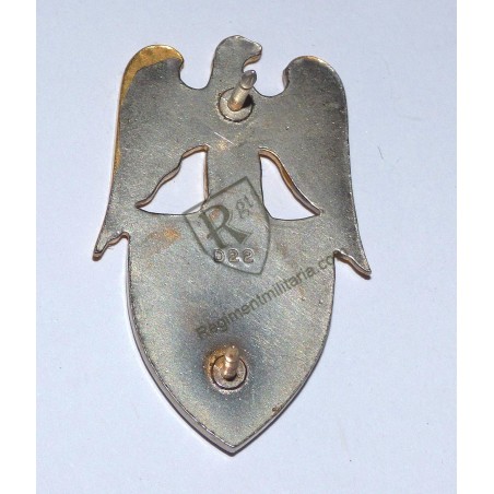 US ARMY Aide to Major General badge