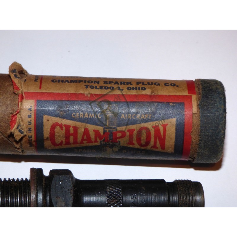 Bougie Aviation Champion USAAF