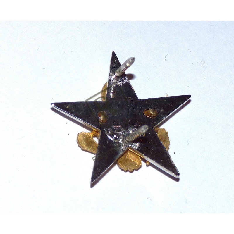 US ARMY General Staff Officer Collar badge