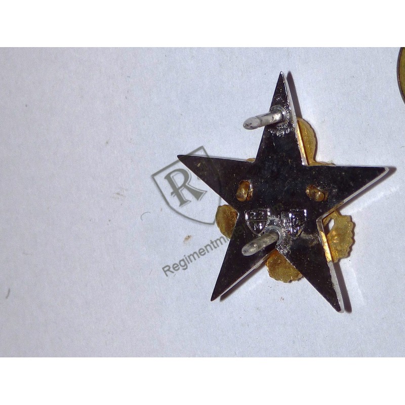 US ARMY General Staff Officer Collar badge