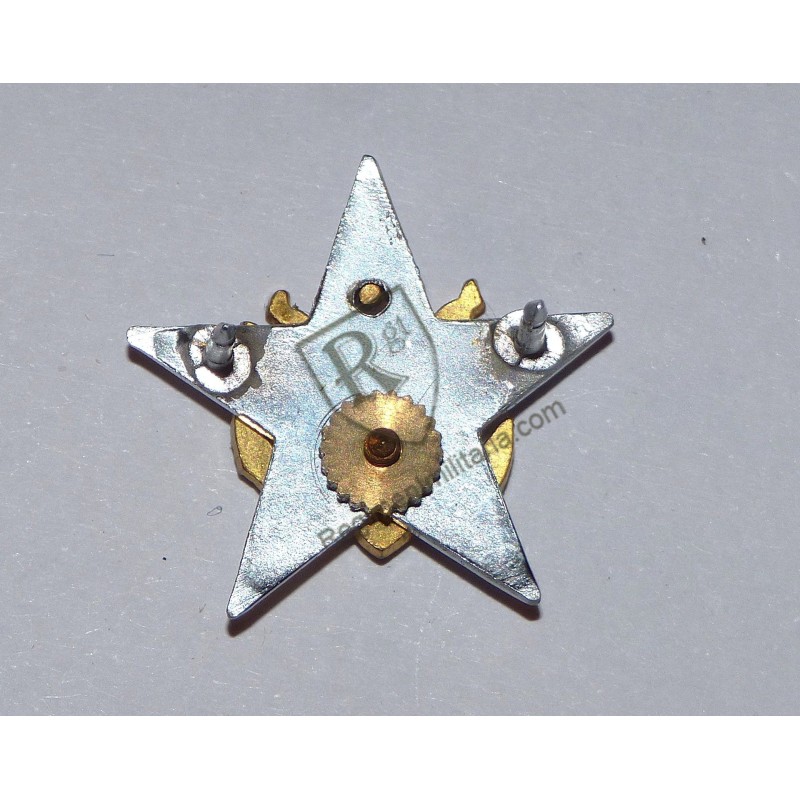 US ARMY General Staff Officer Collar badge