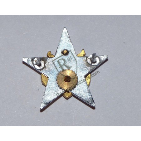 US ARMY General Staff Officer Collar badge