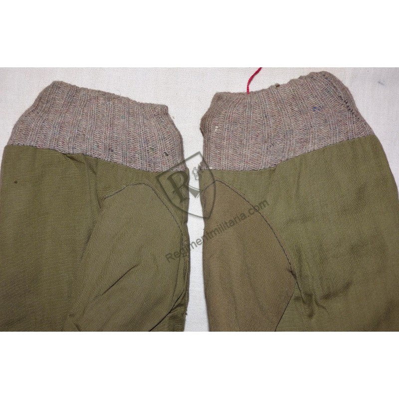 US ARMY Paire de moufles