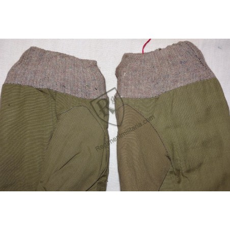 US ARMY Paire de moufles